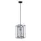 Maxim Lighting Era 1-Light 7.75" Wide Black Pendant Light 21672CDBK - alternate 1